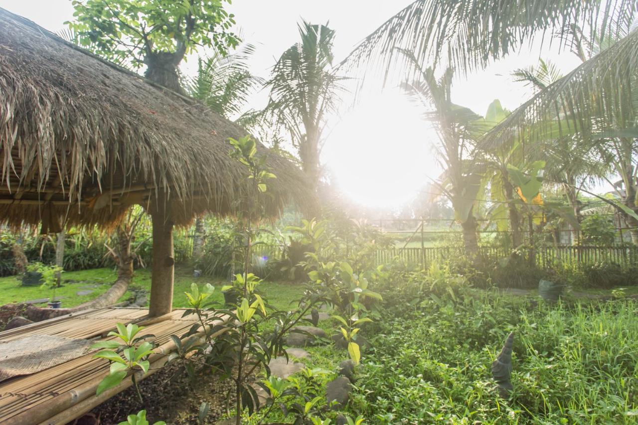 Ubud Luwih Nature Retreat Ngoại thất bức ảnh