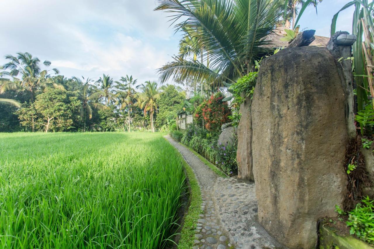 Ubud Luwih Nature Retreat Ngoại thất bức ảnh